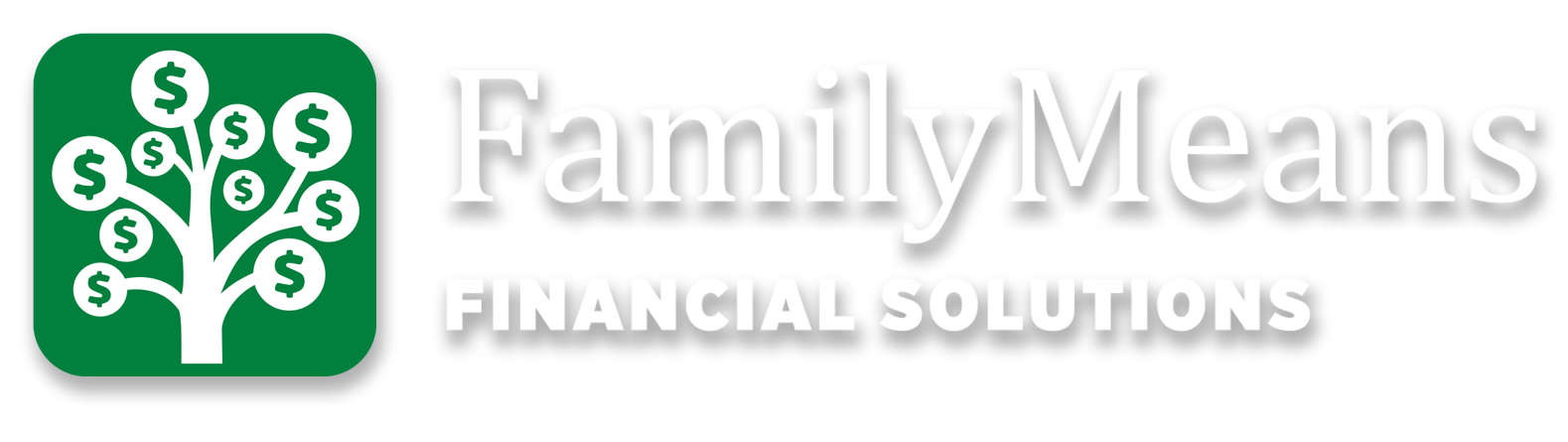 Financial Solutions Logo